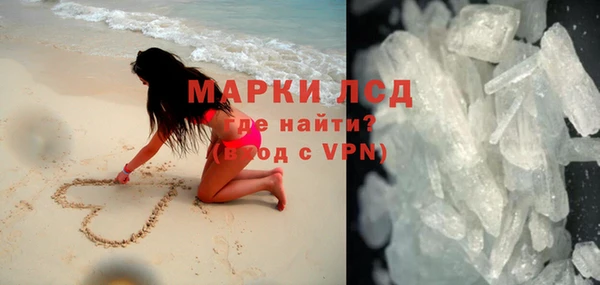 гидра Гусев