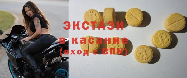 индика Гусь-Хрустальный