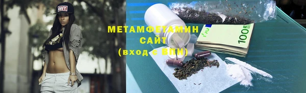 индика Гусь-Хрустальный