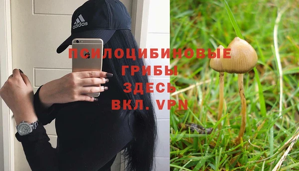 гидра Гусев