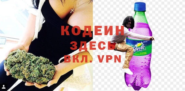 индика Гусь-Хрустальный