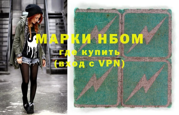 индика Гусь-Хрустальный