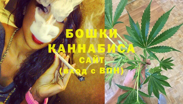 молекула духа Гусиноозёрск