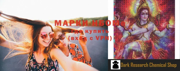 гидра Гусев