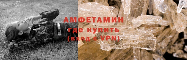 индика Гусь-Хрустальный