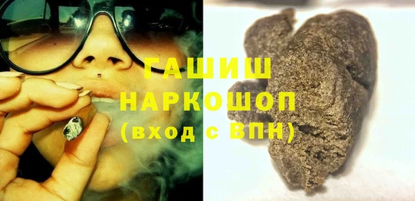 индика Гусь-Хрустальный