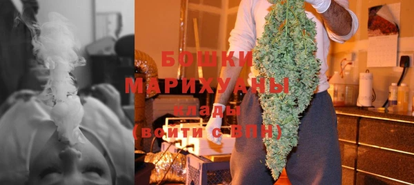 молекула духа Гусиноозёрск