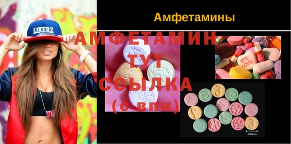 гидра Гусев