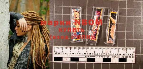 молекула духа Гусиноозёрск