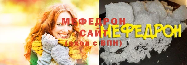 индика Гусь-Хрустальный
