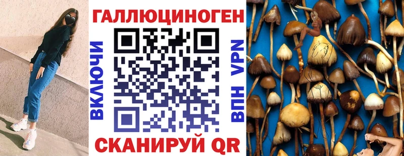 Купить где  Новотроицк  Псилоцибиновые грибы Psilocybine cubensis 
