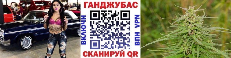Бошки Шишки план  Купить закладки  Новотроицк 